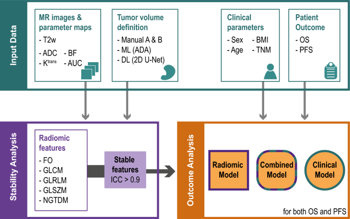 Quantitative MRI-based radiomics analysis identifies blood flow feature associated to overall survival for rectal cancer patients