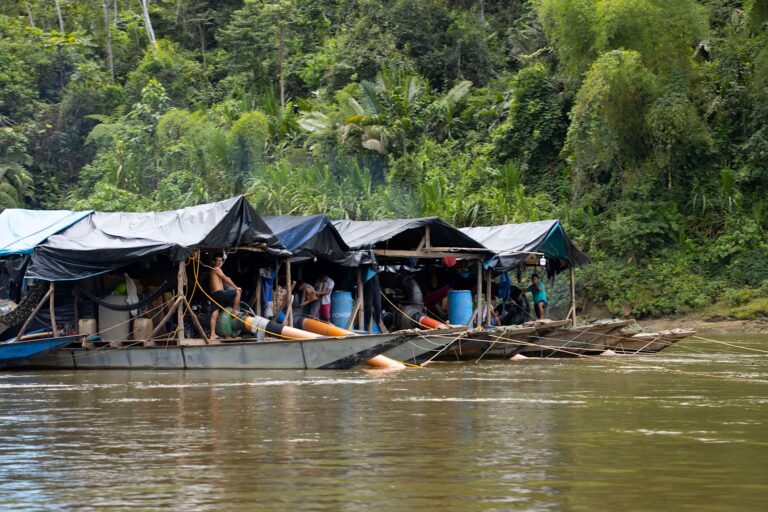 Illegal gold mining devastates Peruvian Amazon river and communities