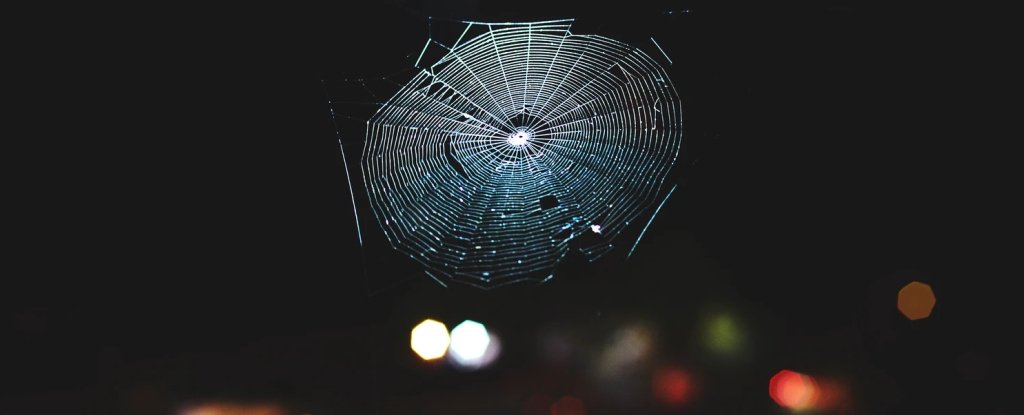 Scientists Translated Spiderwebs Into Music, And It’s Absoutely Stunning : ScienceAlert